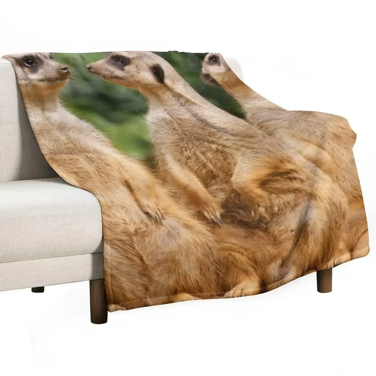 Meerkat 07 Throw Blanket Moving christmas decoration Blankets