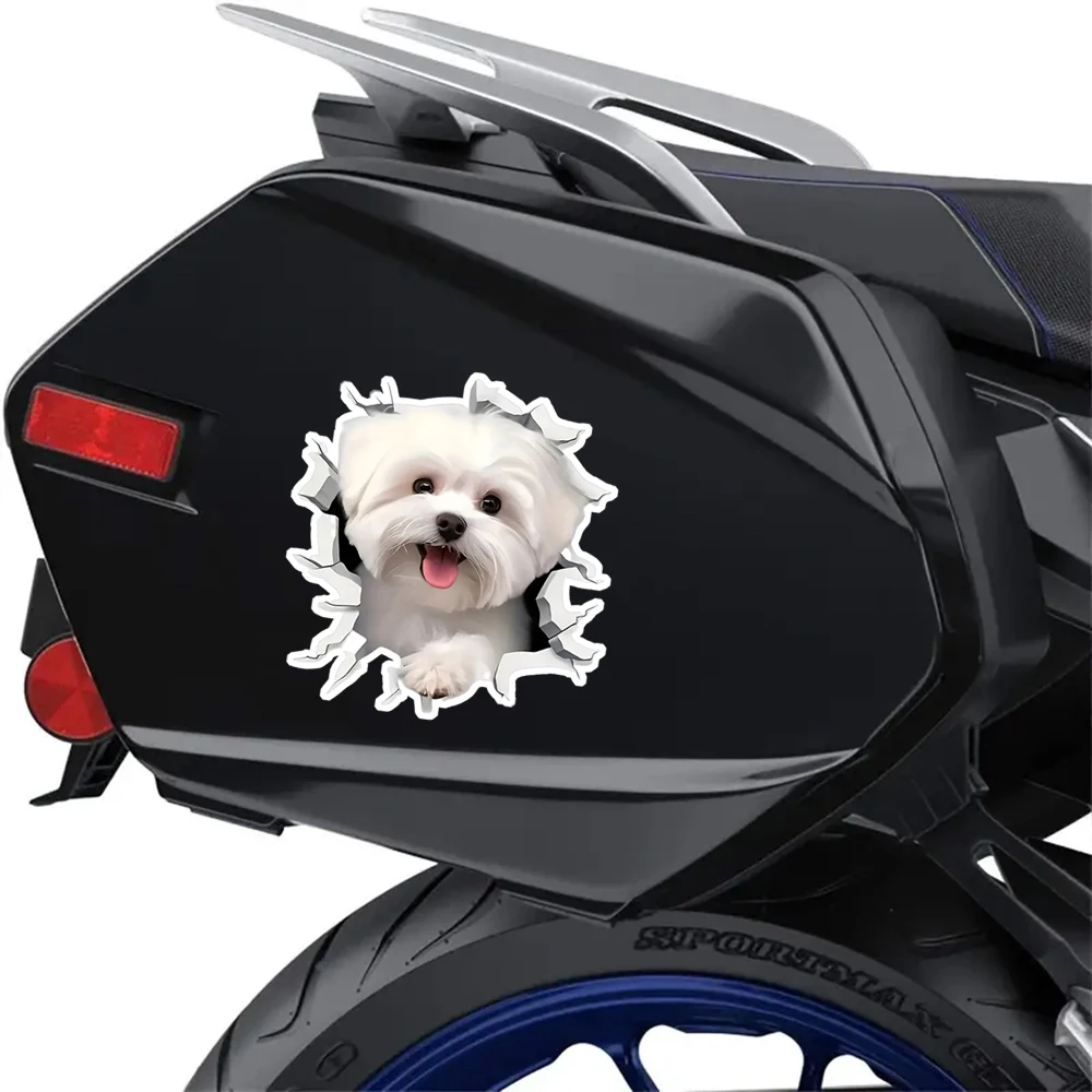12x13cm Cute White Maltese Dog Waterproof Vinyl Car Decals For Window Bumper Exterior Scratch Block Decor Accessories - view 4