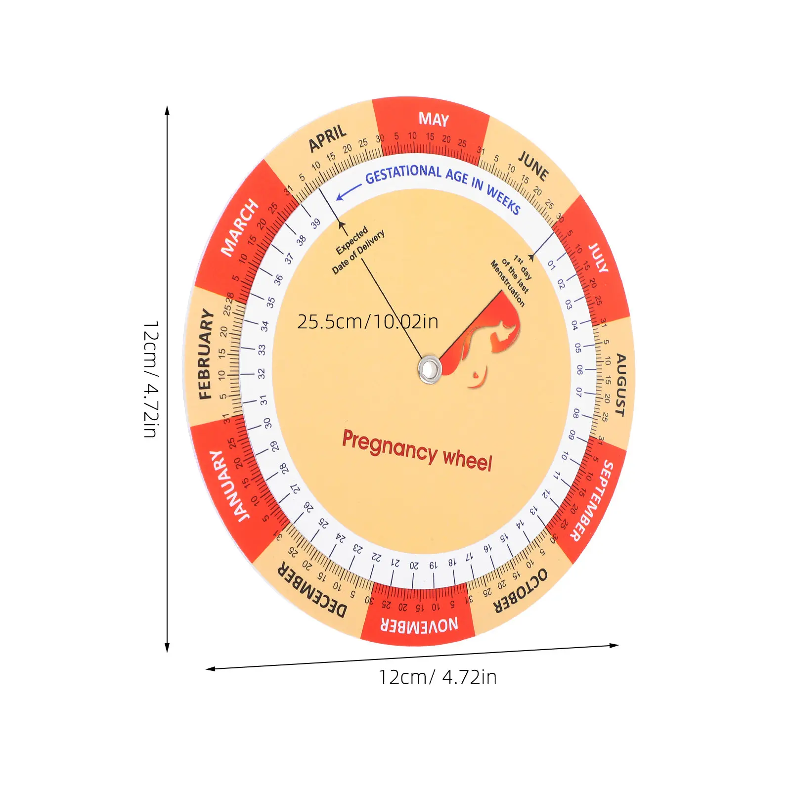 2Pcs Pregnancy Wheel Paper Tracker Color Printed Chart for Expecting Moms Pregnancy Development Guide Date Wheel Calculator