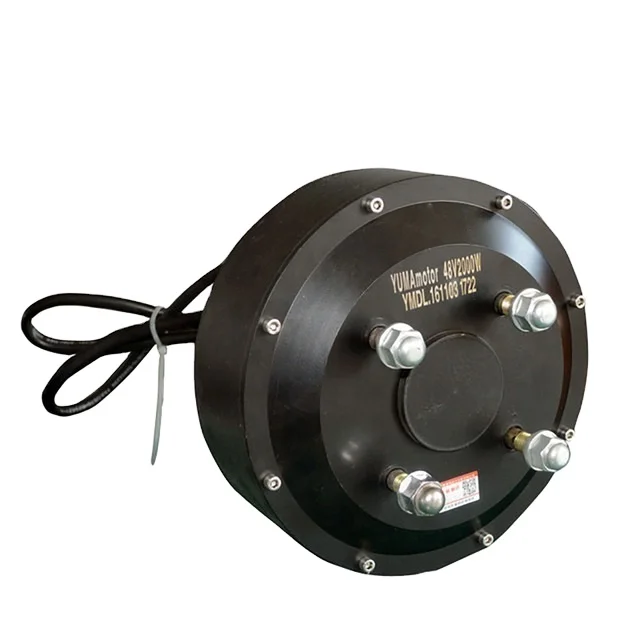 

Односторонний двигатель с высоким крутящим моментом 10 дюймов, 1000 Вт, 2000 Вт, 3000 Вт, одновальный мотор-концентратор, 10 дюймов, 1 кВт, 2 кВт, 3 кВт для электромобиля, квадроцикла, пляжного автомобиля, сделай сам