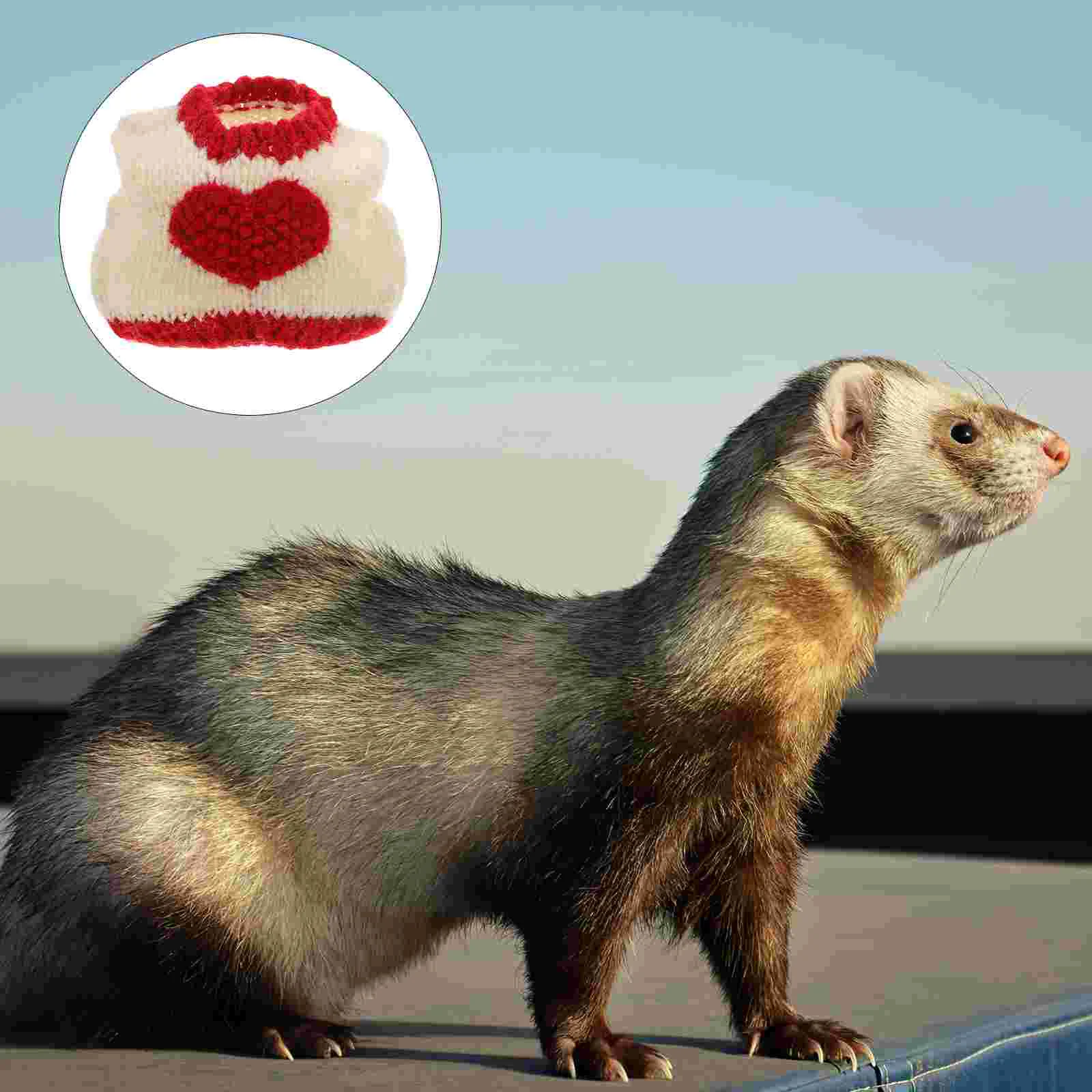 

Man Hat Squirrel Love Sweater Skirt Accessories Valentines Day Pet Costoume Autumn And Winter Red