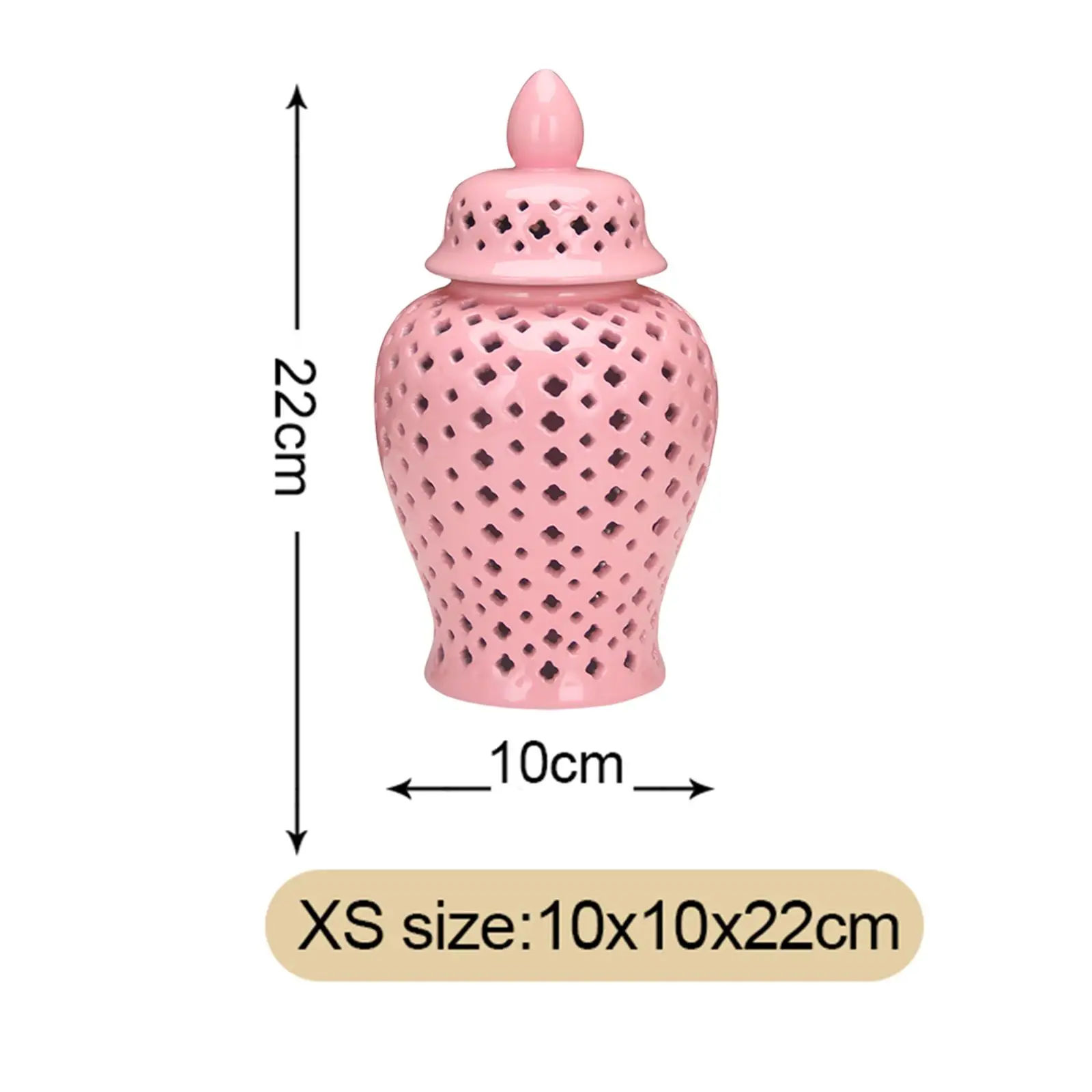 Porcelain Ginger Jar Hollow Out Decorative Ceramic Vase with Lid Table Ornament for Living Room Floral Arrangement