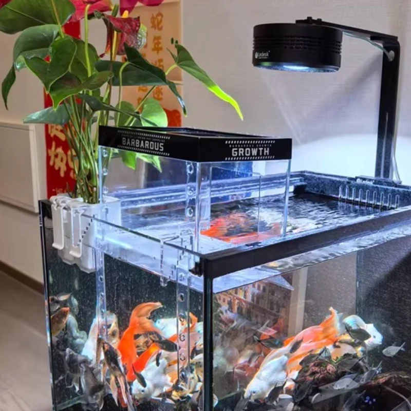 Turtles Terrarium Transparent and Heat-resistant Terrariums Deep-water Turtles Tank Sunbathing Room Turtle Basking Platform
