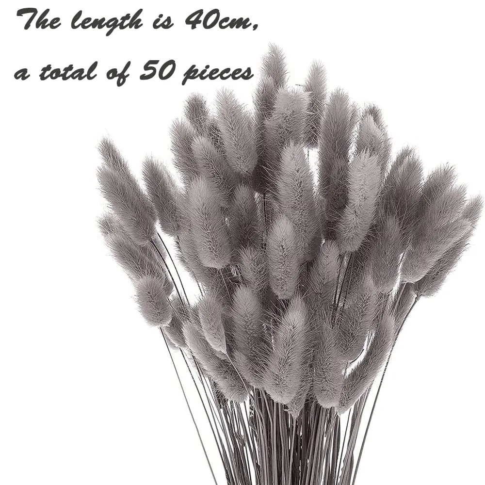 

50PCS Rabbit Tail Grass Boho Home Decor Wedding Decorative Natural Pampas Dried Flower for Home Party Decor Flower Arrangements