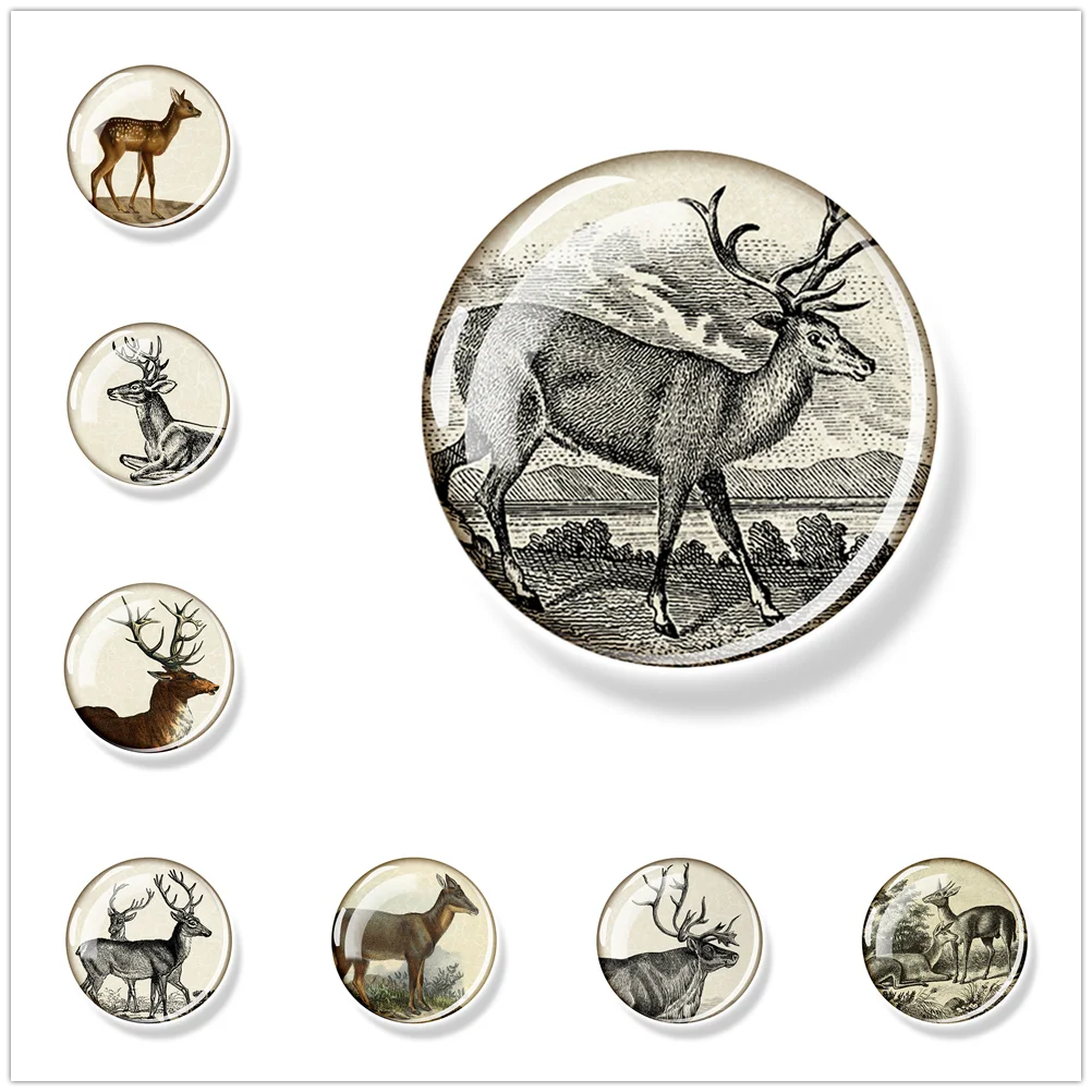 

Circular Refrigerator Magnet Elk Photo Home Refrigerator Sticker Convenient Practical and Beautiful 30mm