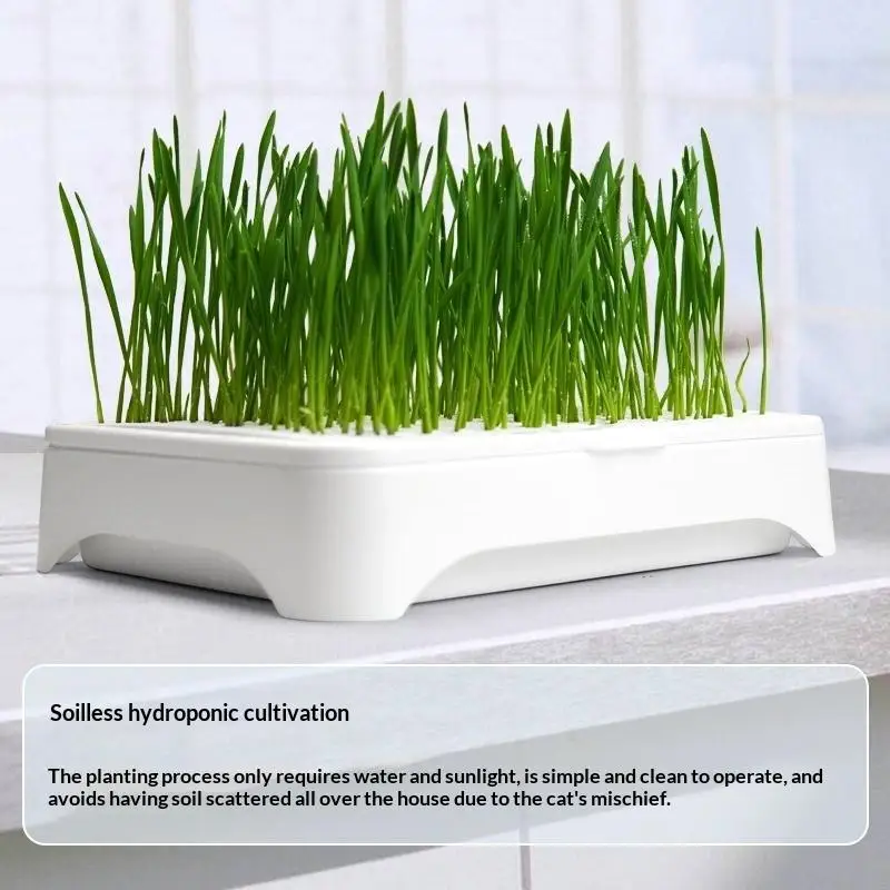 HOT Pet Cat Grass Planting Basin Soilless Culture Wheat Seedling Pot Kitten Grass Hydroponic Device Horticultural Planting Pot