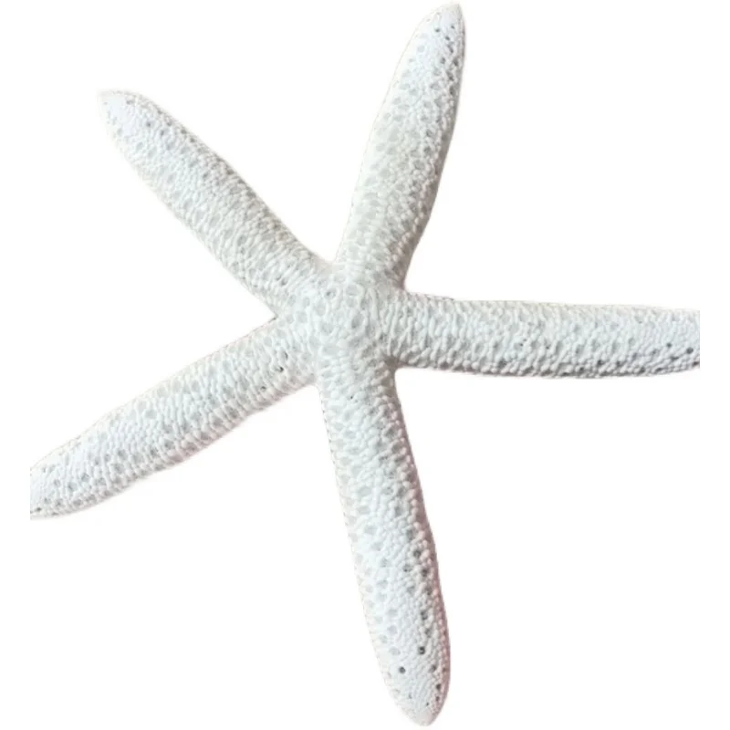 Natural 14-17cm White Finger Starfish Sea Stylish Home Hair Wedding Decor and Craft Project