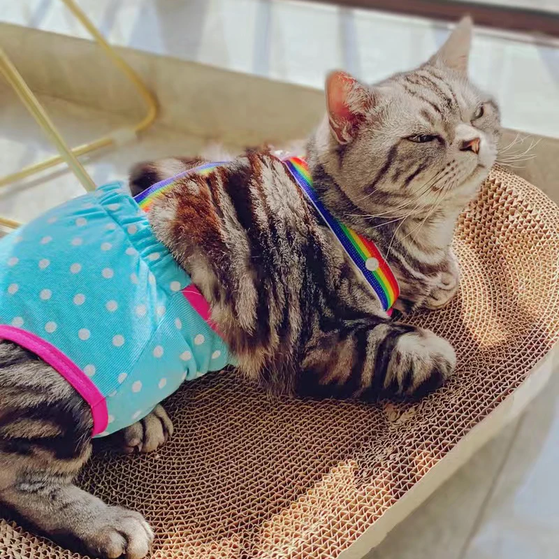 Denim-Höschen für Französische Bulldoggen, physiologische Höschen mit Punkten für weibliche Hunde, Sicherheits- und Hygienehöschen für kleine und mittelgroße Hunde, Katzen, Haustier-Shorts – Detail 7