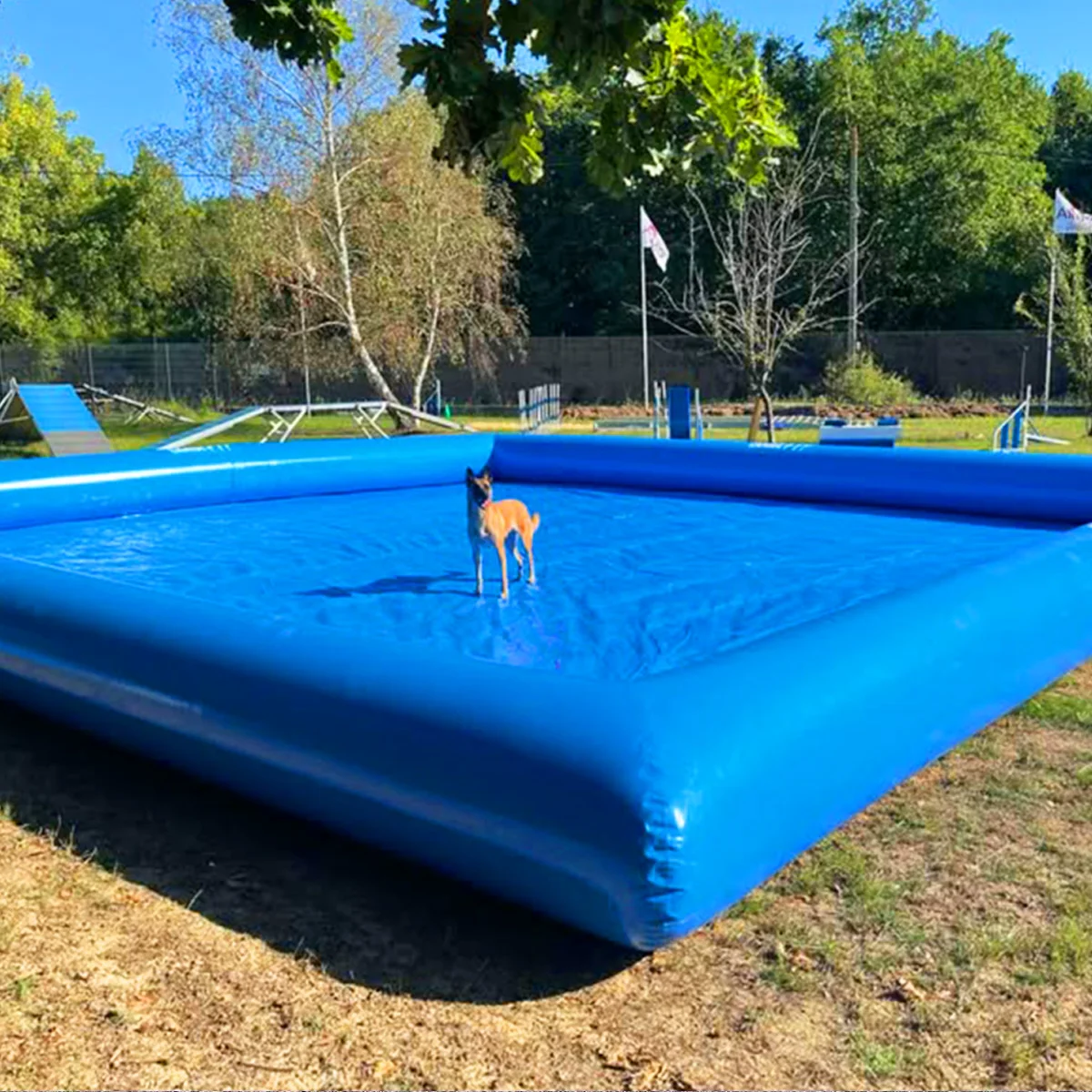 حار بيع كبير PVC الحيوانات الأليفة Airblow المياه بركة داخلي في الهواء الطلق الكلب حمام سباحة قابل للنفخ لفصل الصيف