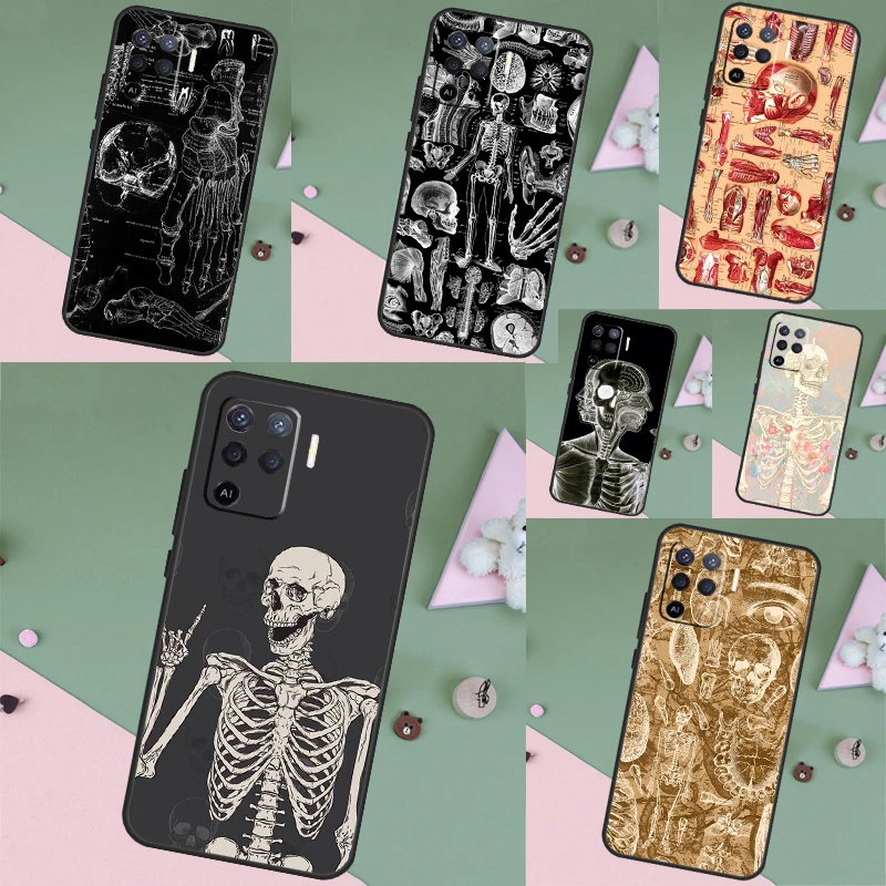 Medical Skeleton An…