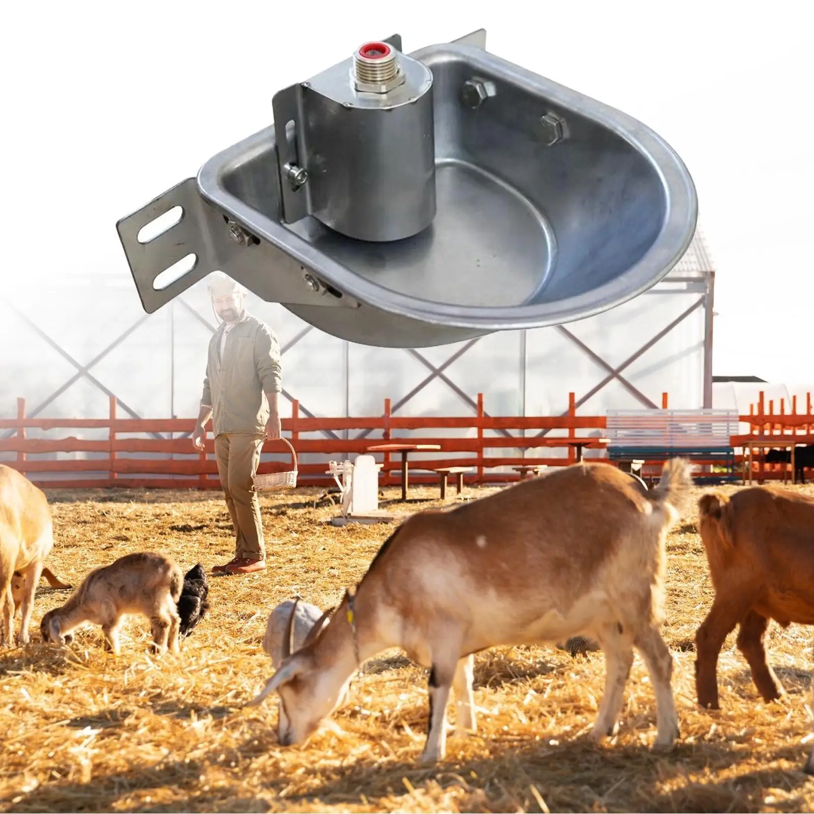 Rust Proof Stainless Steel Automatic Drinking Bowl Livestock Waterer Farm Animal Fountain for Dog Goat Pig Feeding