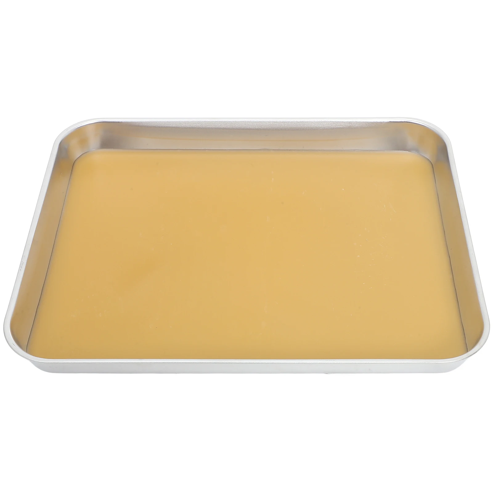 

Dissection Tray Stainless Steel Wax Lined Lab Trays for Students Anatomy Precision Easy Maintenance Education Support