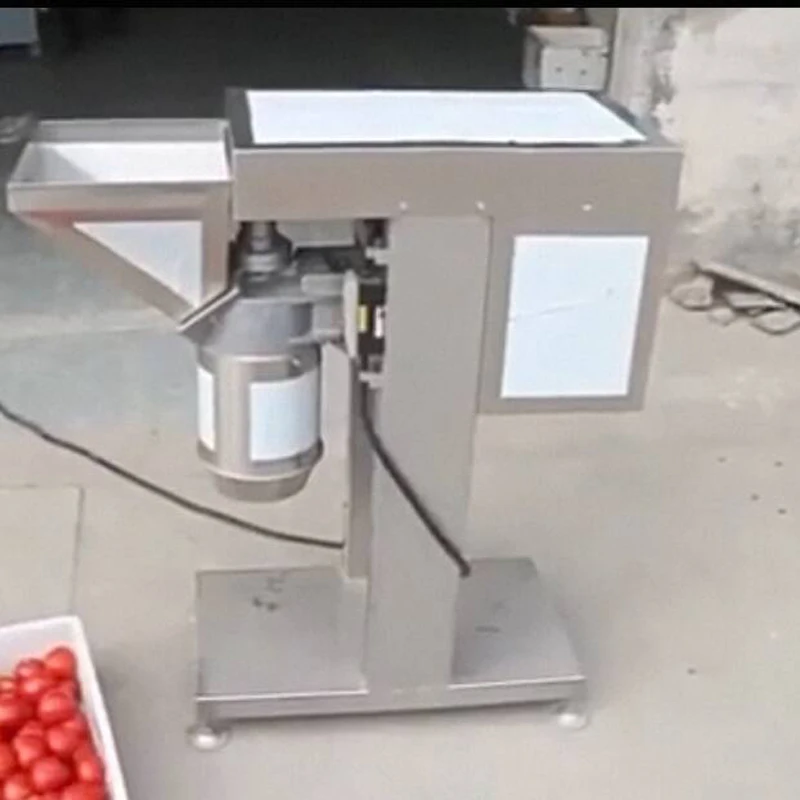 Fruit Vegetable Chili Ginger Garlic Chop Grind Grinder Crusher Paste Make Machine
