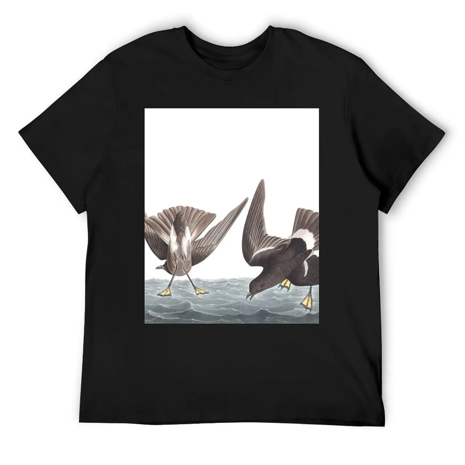 

Wilson's Storm-Petrel - John James Audubon T-Shirt