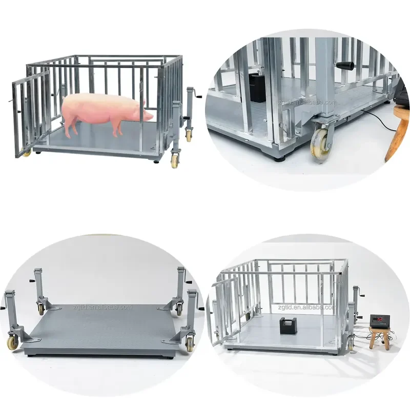SFW Certificate 1T 500KG 800KG Animal Weighing Scale Sheep Weighing Scale Livestock Weighing Scale in the Breeding