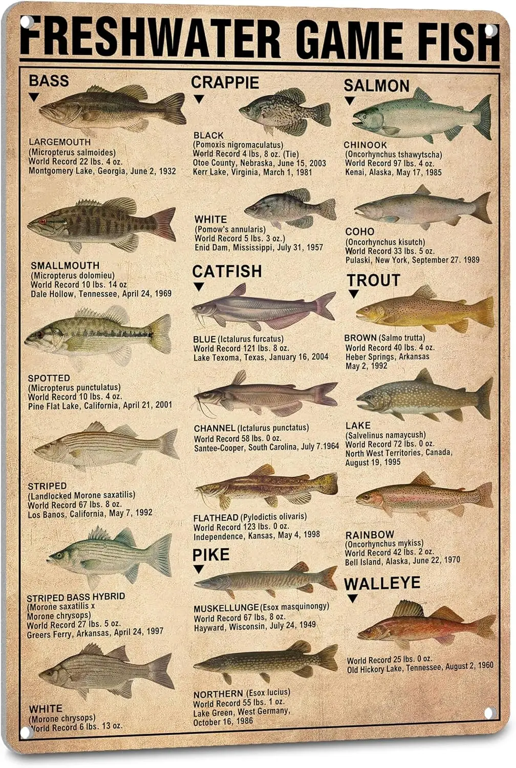Homely Accents Rustic Fishing Decor for Wall, Lake House ; Cabin - Vintage Man Cave Decor Metal Sign Gifts for Teen Boys Angler
