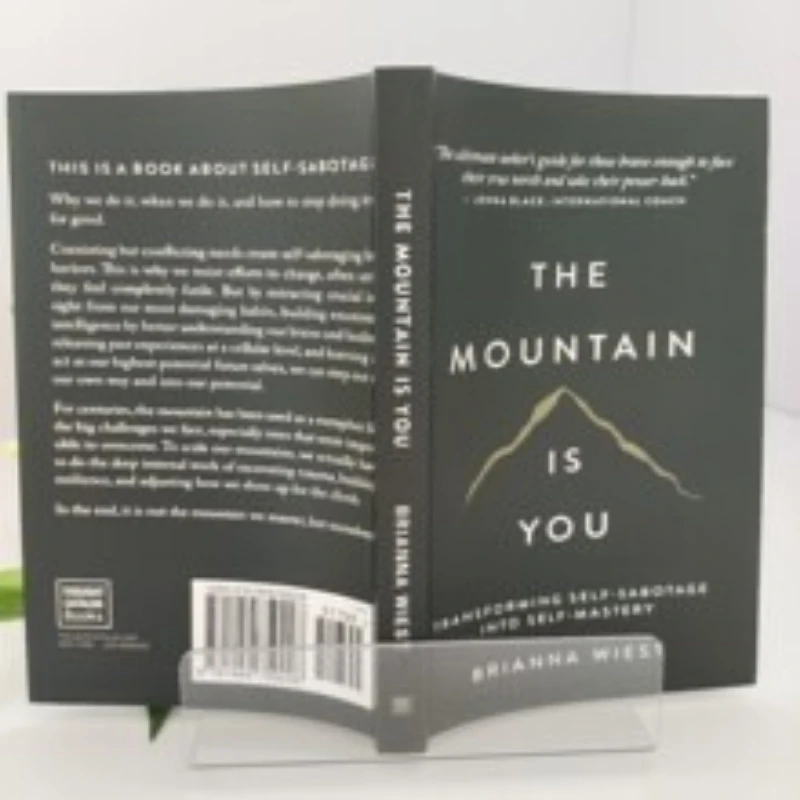 The Mountain Is You: تحويل الانحراف الذاتي إلى كتب اللغة الإنجليزية ذاتية التغلب #5