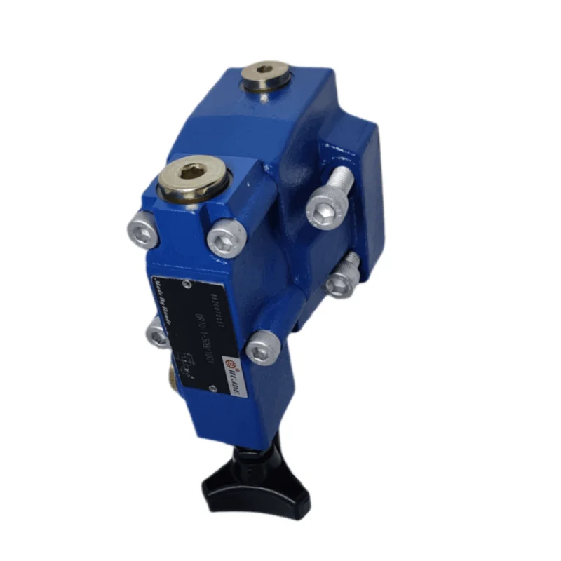 صمام تخفيض الضغط التجريبي DR10-4-50B/50/100/200/315YM DR20 DR30 #6