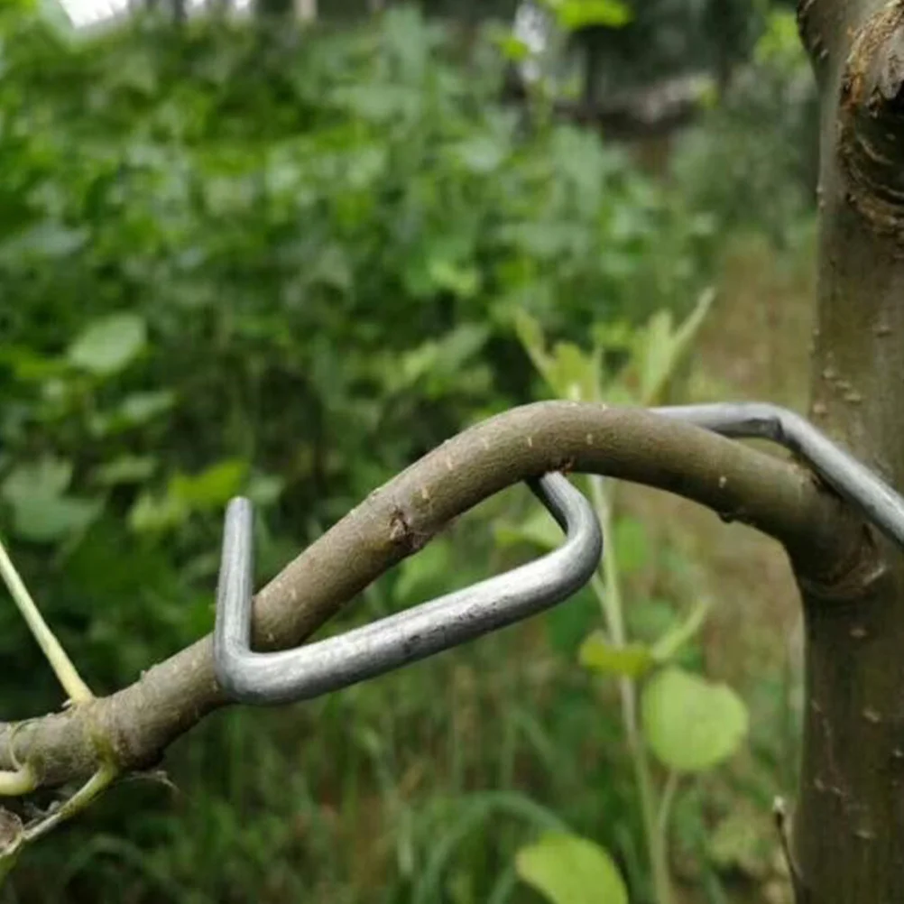 Tree Stake Kit Fruit Branch Shaper Tools Gardening Twig Clips Cable Tie Bonsai Moderators Wrench Holder