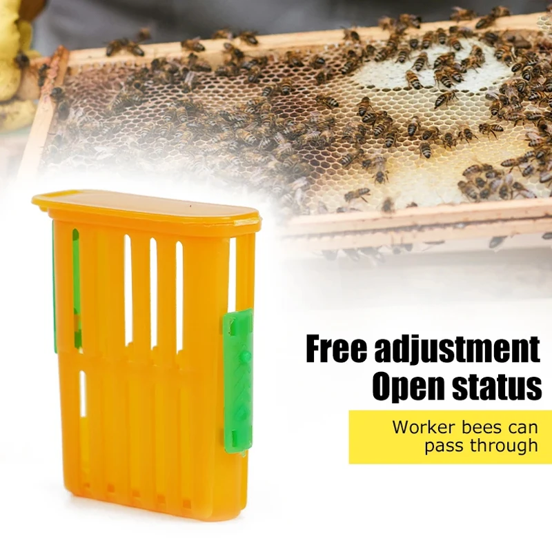 5/10Pcs Queen Bee Rearing Cage Plastics Bee Transport Grid Box Breeding Beekeeper Supplies Bee Queens Shipping Box Insect Cup image 4