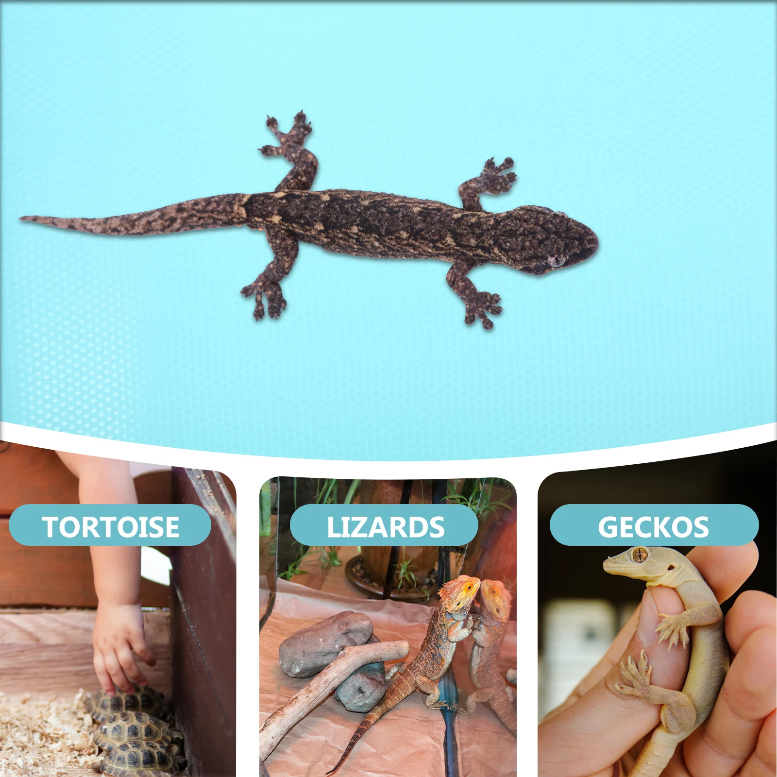 

Reptile Carpet Foldable Lightweight Eva Substrate Mat Soft Comfortable for Bearded Dragon Snake Lizard Tortoise Terrarium