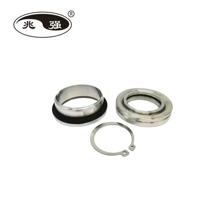 

High-Performance WCCR Mechanical Seal for Pump Model 4460.010