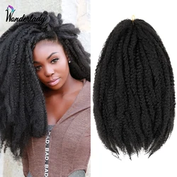 WonderLady Afro Flechten Haar 18 zoll 100g Synthetische Weiche Marley Braid Für Häkeln Zöpfe Verworrene Twist Haar Verlängerung Für frauen