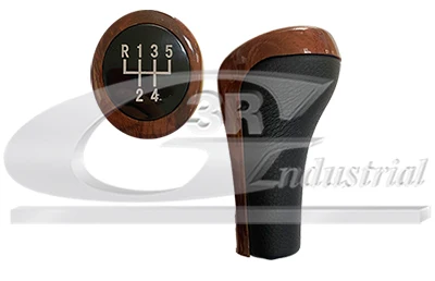 GEAR SHIFT KNOB 25118037305