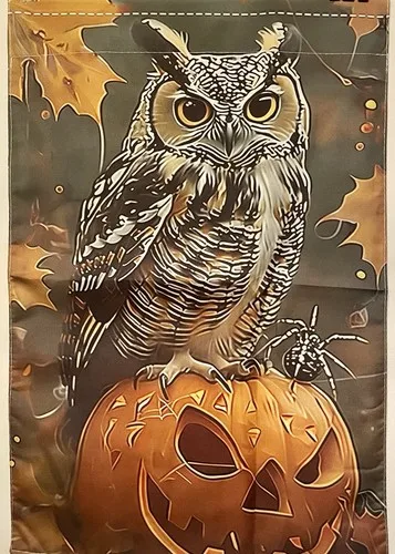 Halloween Owl Pumpk…