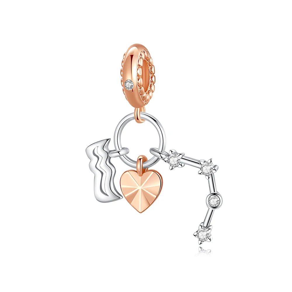 

Danturn 925 Sterling Silver Original Beads Aquarius Dangle Charm fit Snake Chain Bracelet Fashion Women Jewelry Making