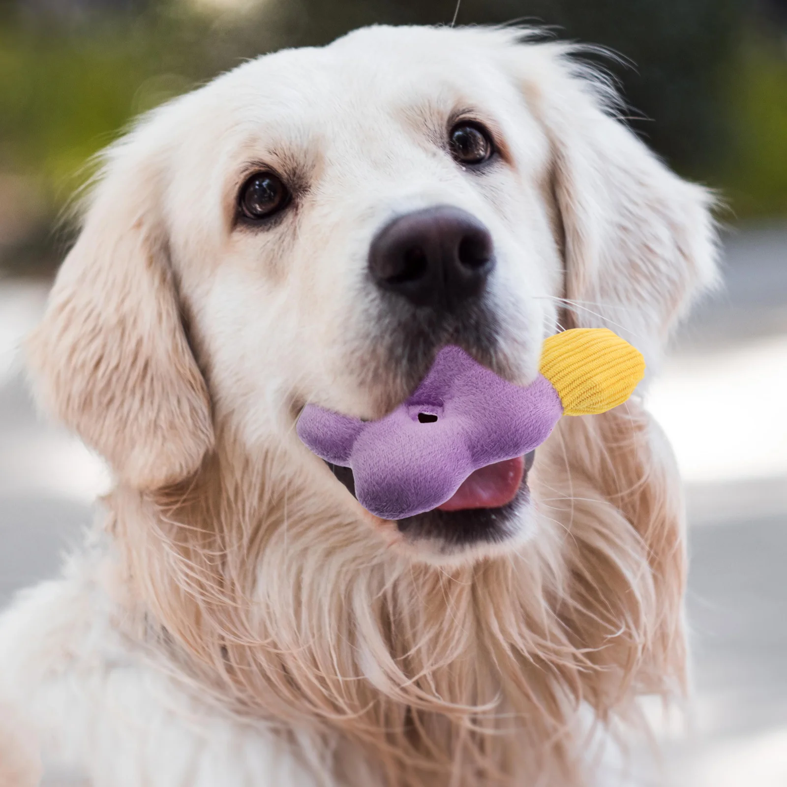 

Smart Sound Dog Chew Toys for Small Dogs Puppy Teething Squeaky Interactive Gnawing Bite Resistant Health Self