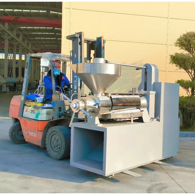 Customize Crazy Sale Commercial Oil Press Machine with Vacuum Oil Filter for Sunflower Seed and Walnut Oil Pressing