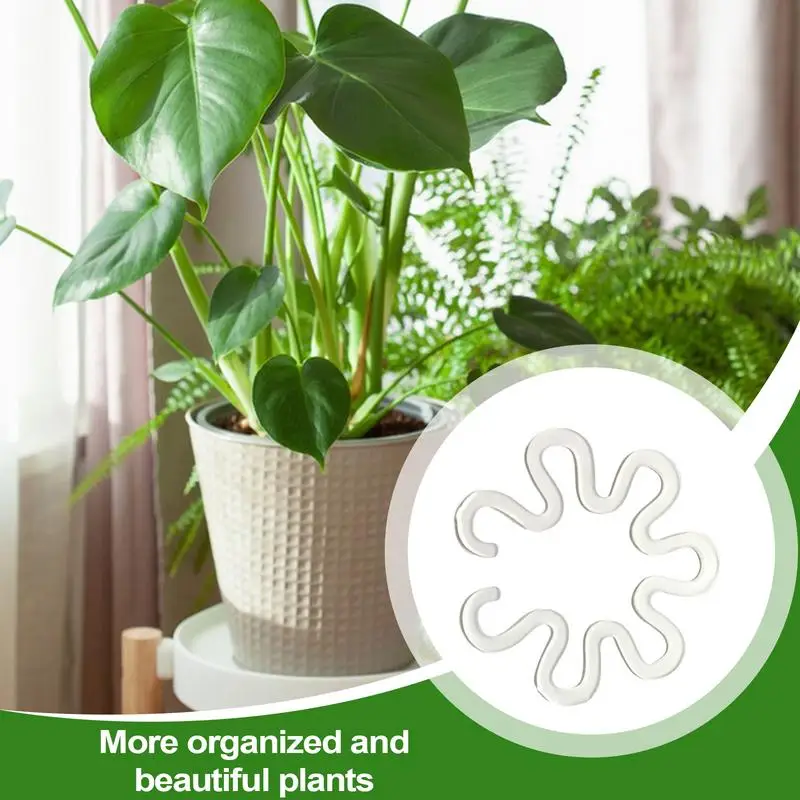 Plant Stem Support Monstera Plant Stem Holder Grapple Clear Reusable Monstera Stabilizer Grapple Holder Plant Retaining Support