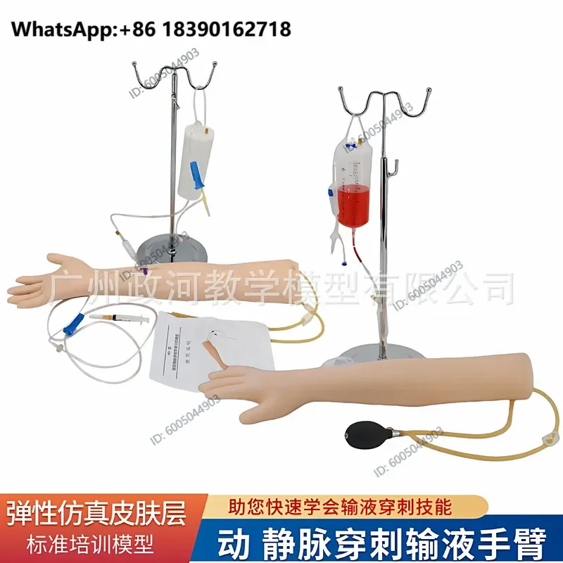 1pcs  Arm Model for Arteriovenous Puncture Infusion Intramuscular Training Nurse Practice Indwelling Needle Blood Drawing