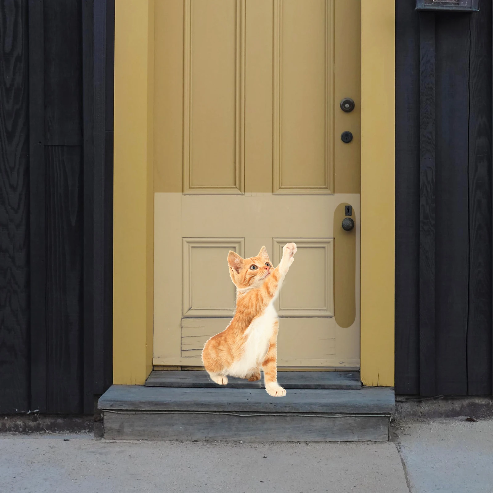 

2Pcs Door Anti-scratch Protection Patch PVC Sticker Dog Scratching Protector Guard Furniture Durable Clear Design Flexible