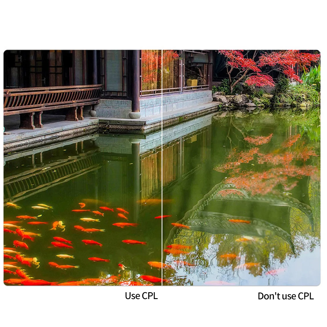 Zirkularpolarisierender CPL-Filter 37mm 52mm 58mm Fotografie für Canon Nikon Sony Kameraobjektiv – Detail 2