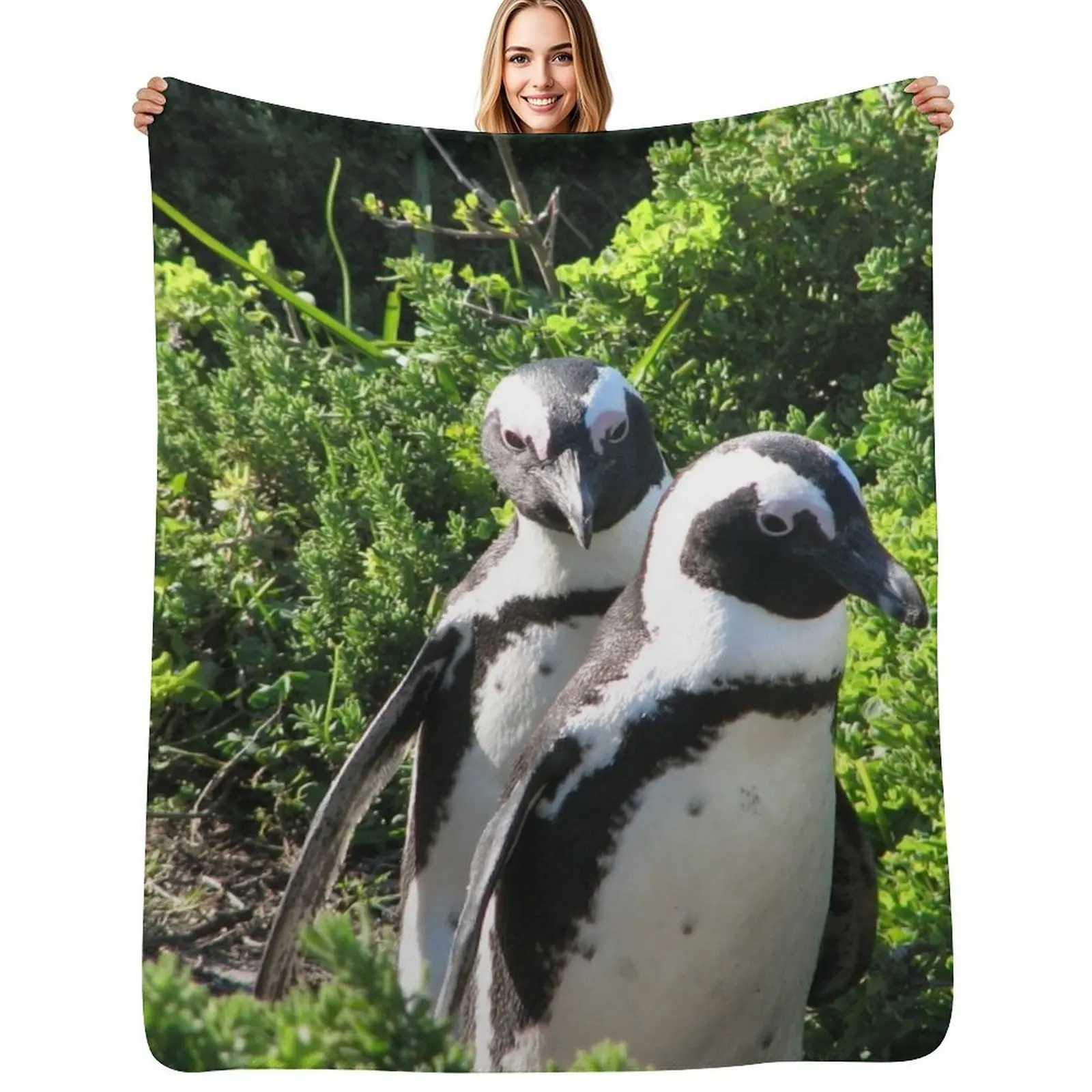 Two African Penguins Strolling Boulders Beach, Cape Town, South Africa Throw Blanket Cute Luxury St Soft Comforter Blankets