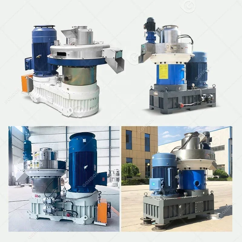 Commercial Vertical Ring Die Wood Pellet Biomass Line Manufacture Pellet Make Machine 2 Ton Rice Husk