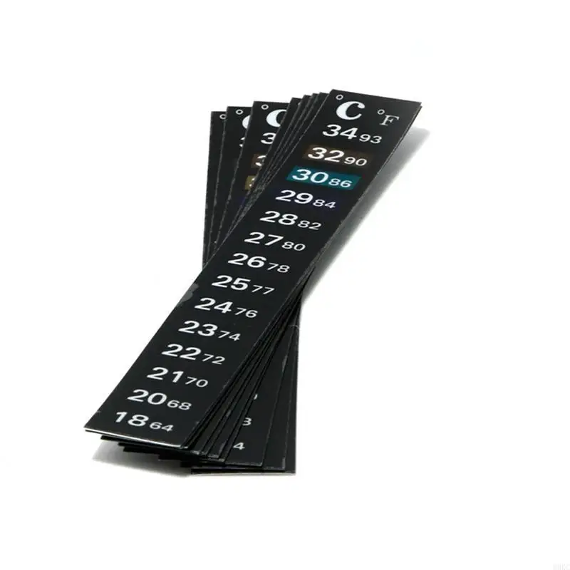 B0KC BETTA STETEMEMEMEMENTO TRIPAS VERTICAL PAR