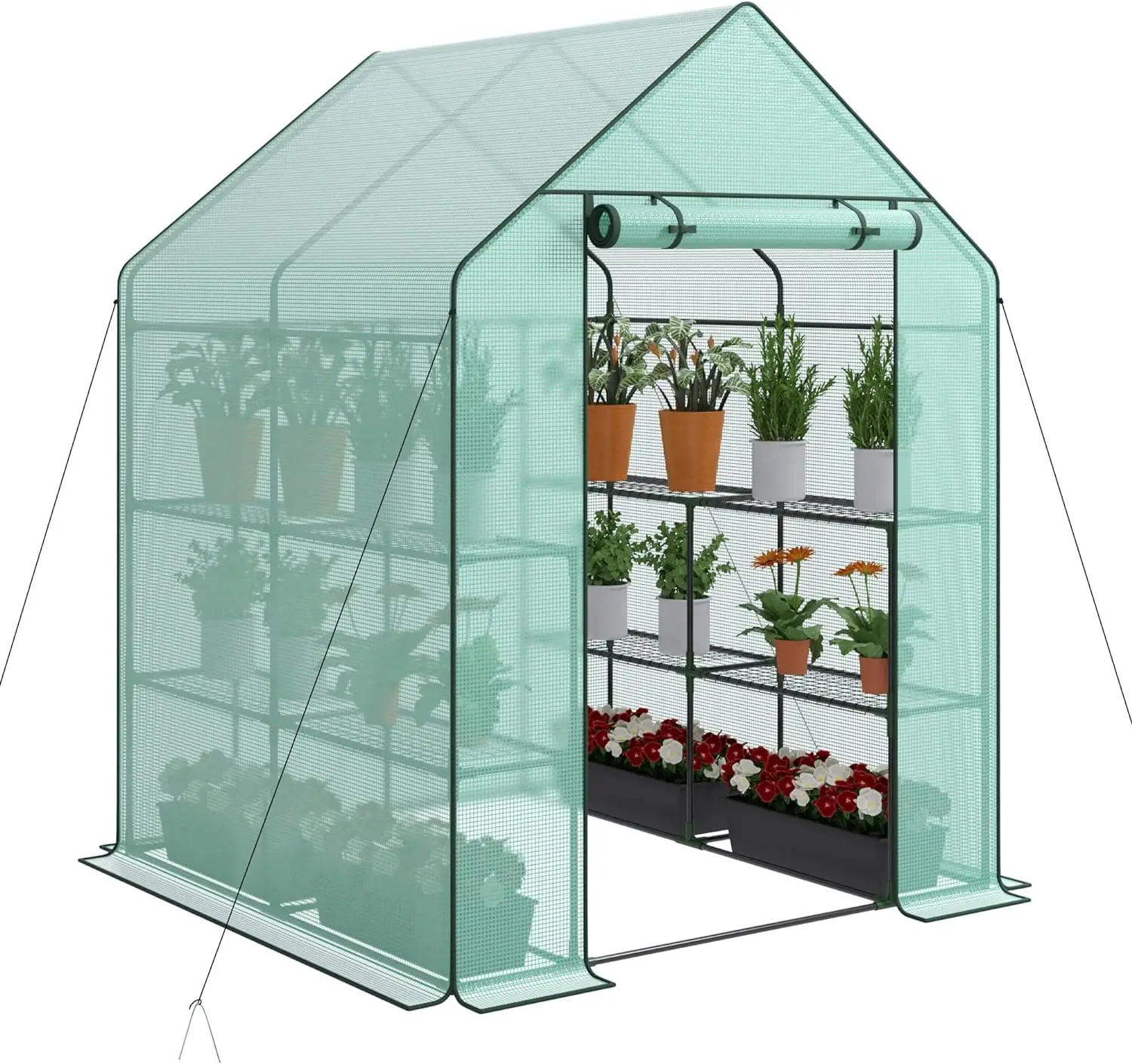 

Walk-in Greenhouse for Outdoors, 57 x 57 x 77 inch, Portable PE Cover Greenhouse with Anchors and Ropes Indoor Outdoor-3 Tier 8