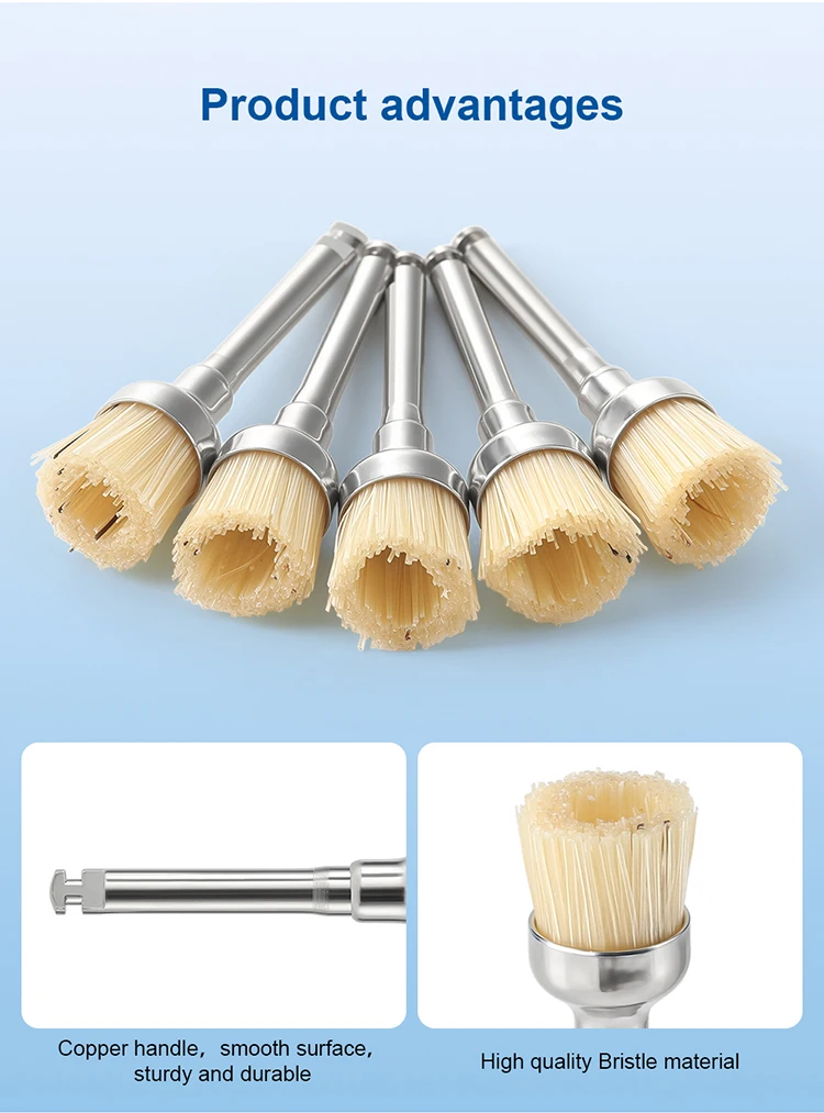 10PCS AZDENT Dental Polieren Pinsel Aluminium Oxid Siliziumkarbid Polieren Prophy Pinsel Werkzeug für Contra Winkel Handstück – Detail 27