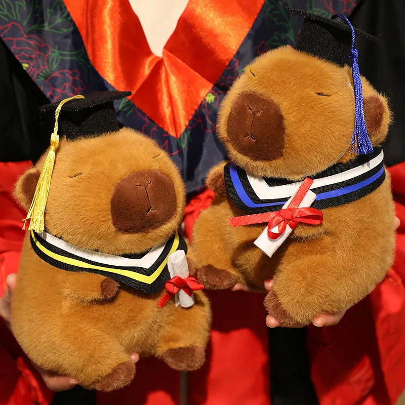 20/25 ซม.การ์ตูน Graduation Capybara ที่ถอดออกได้ Doctoral หมวก Capybara สัตว์บรรจุของเล่นตกแต่งบ้านของขวัญเด็กหญิง