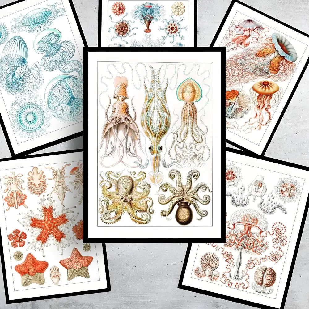 E-Ernst H-Haeckel Poster HD Wall Stickers Mural Self-Adhesiv