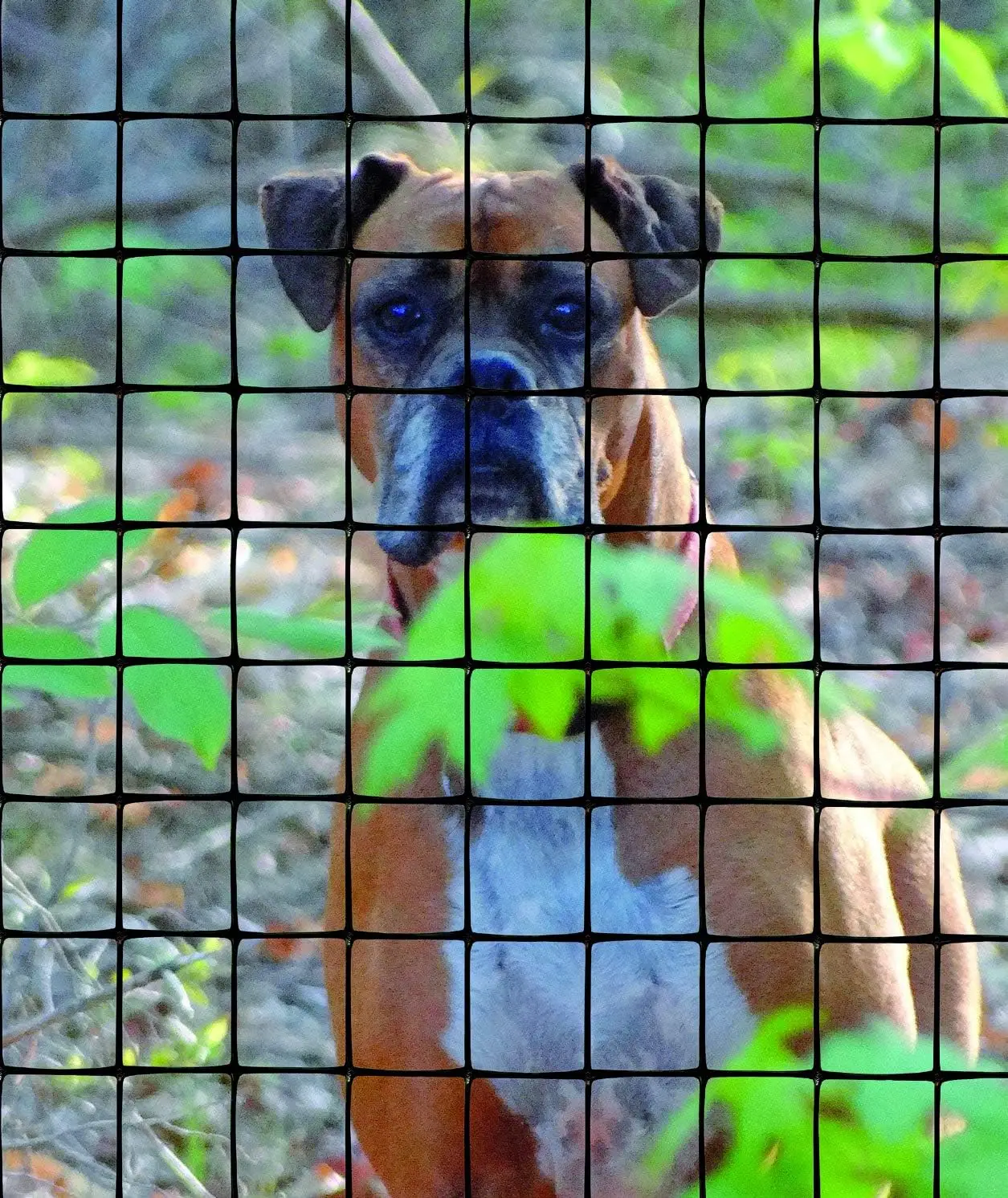 Recinzione per animali nera 4' x 100', rete in polipropilene, non tossica e invisibile per la sicurezza degli animali