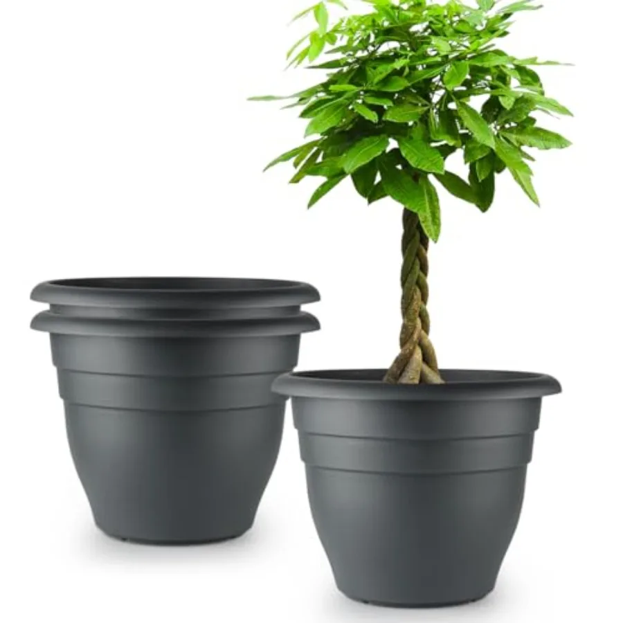 3 Pk Large 6 H Plac…