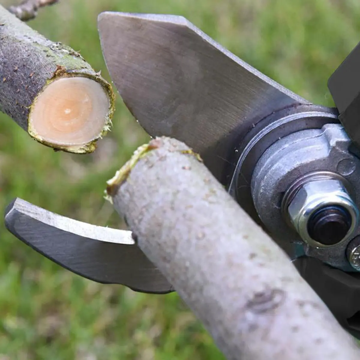 Pemangkas Pemangkas Tanpa Kabel Tanpa Sikat Elektrik dengan Pemotong Cabang Bonsai Pohon Buah Efisien Baterai Lithium-Ion