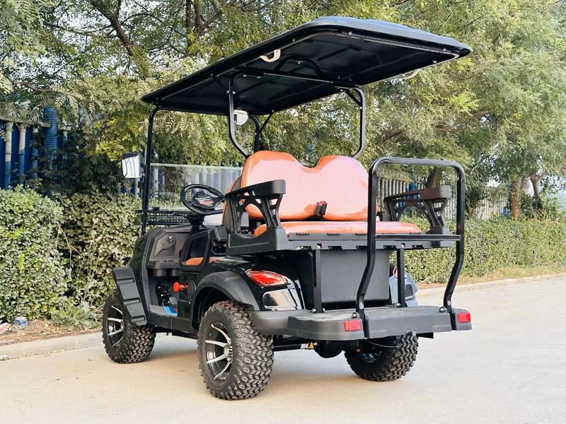 6 مقاعد بطارية ليثيوم عربة جولف الكبار سكوتر 48 فولت 60 فولت 72 فولت سيارة جولف كهربائية #5