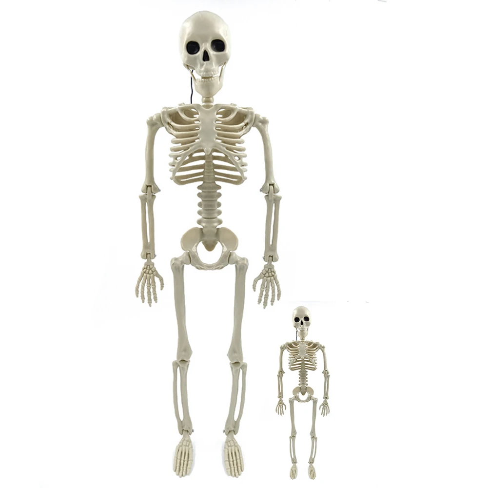 Halloween Decorative Skull Sculpture Movable/Posable Joints Human Skeleton Figure Full Size for Yard Garden Patio Haunted House
