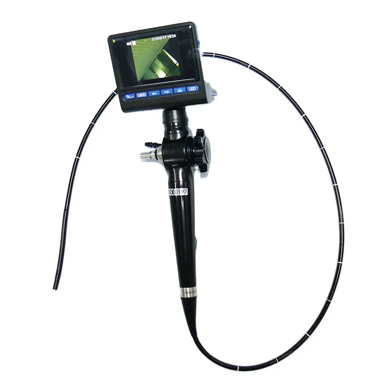 Veterinary Endoscopes Electronic Veterinary Flexible Endoscope Set Colonoscope Gastroscope For Animal