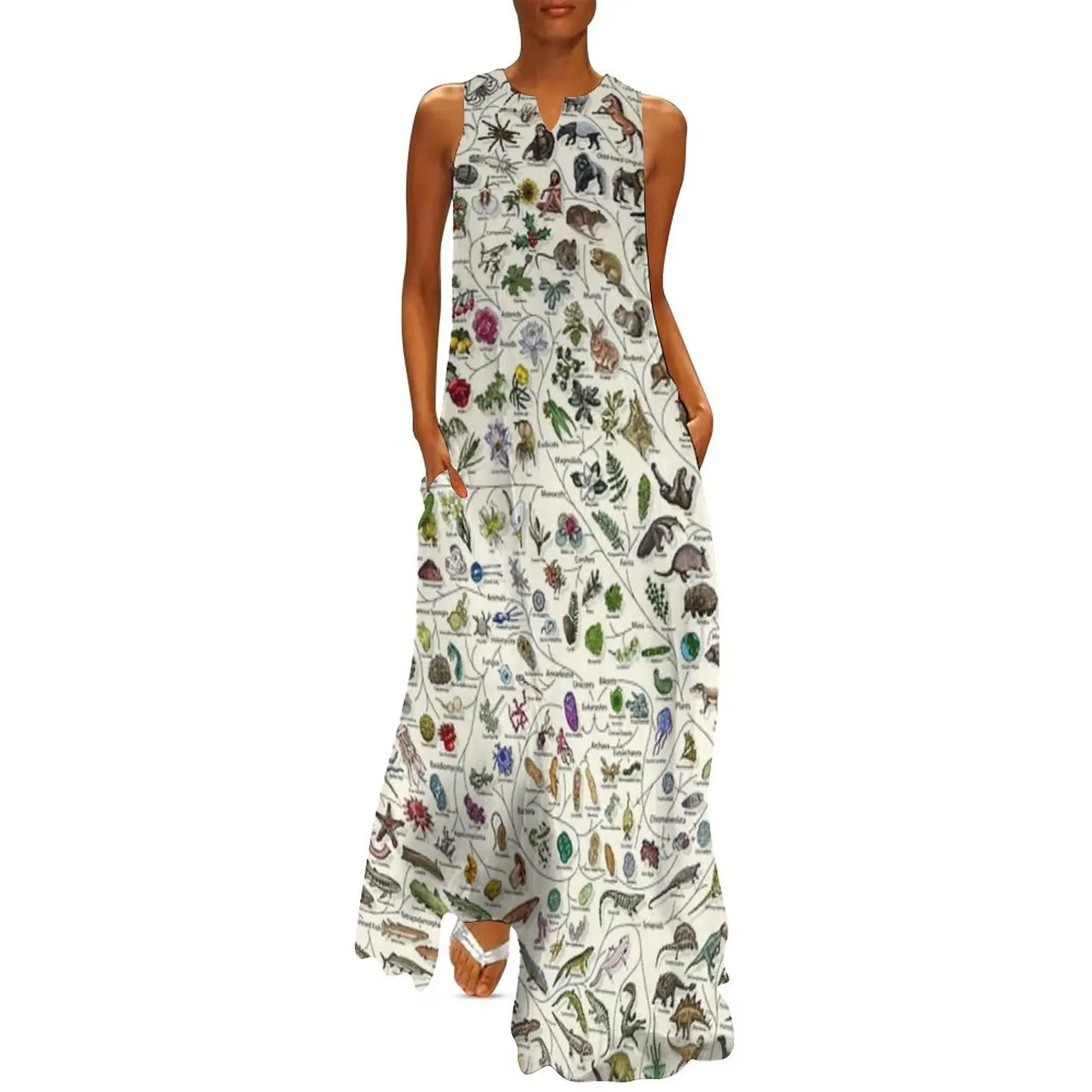 

Tree of Life Poster - Animal and Plant Evolution - Colour (English Annotations others available) Cream Long Dress